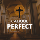 Cadoul perfect pentru persoana iubită